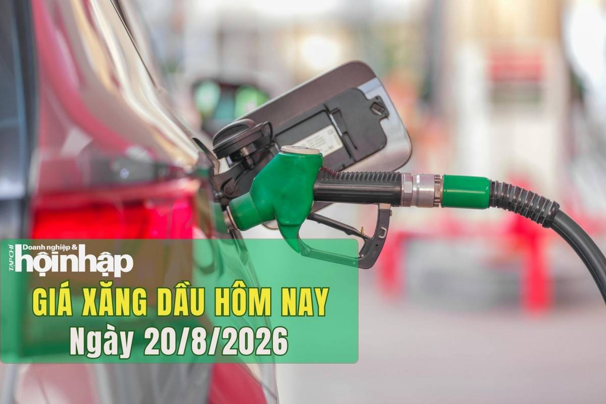 Giá xăng dầu hôm nay 20/8/2026: Căng thẳng Trung Đông đẩy giá dầu lên đỉnh 4 tuần